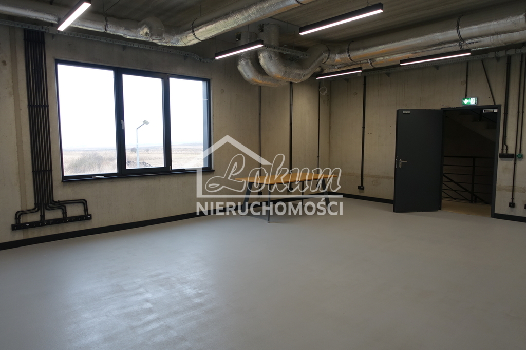 Lokal biurowy do wynajęcia, 183,62&nbsp;m², Dołuje - zdjęcie 3