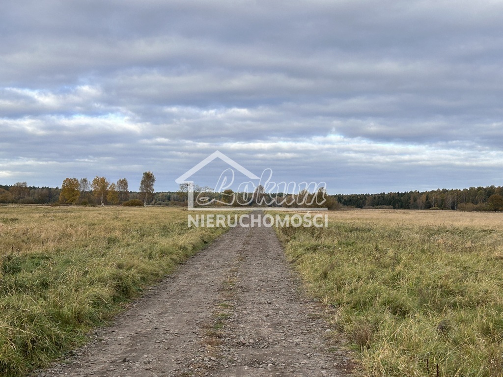 Działka budowlana 2103 m², Niedźwiedź - zdjęcie 1