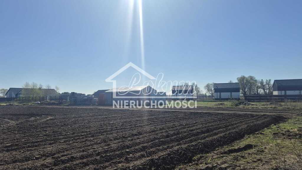 Działka budowlana 8074 m², Lubczyna - zdjęcie 4