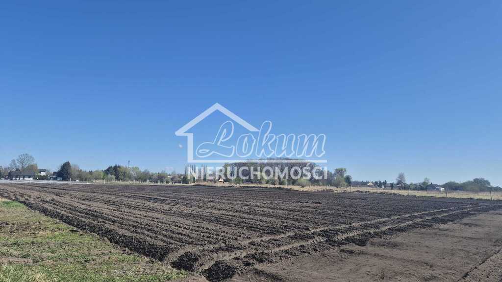 Działka budowlana 8074 m², Lubczyna - zdjęcie 2