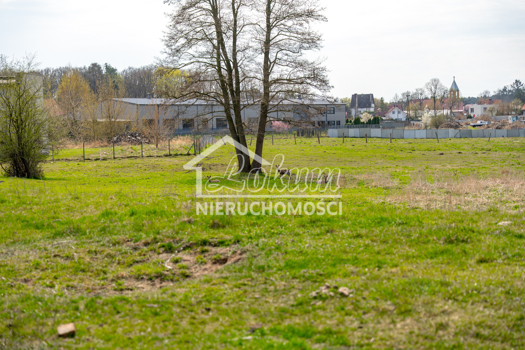 Działka budowlana 1288&nbsp;m², Tanowo, Dębowa - zdjęcie 16