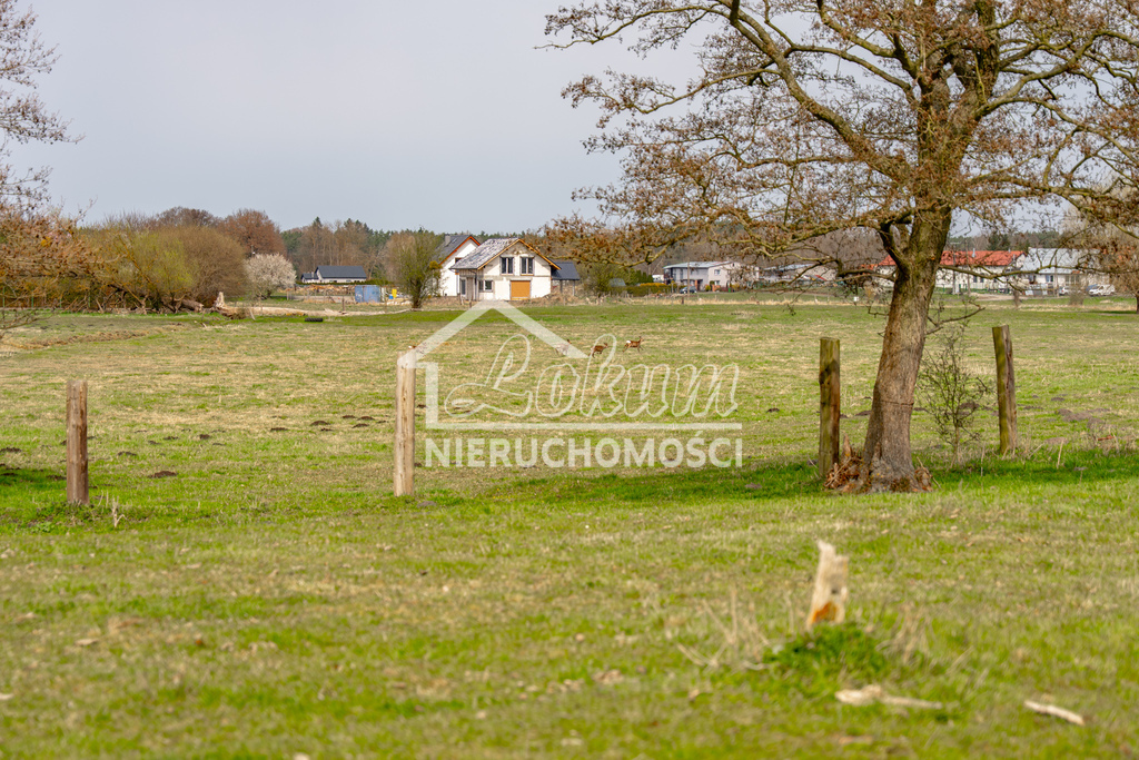 Działka budowlana 1288&nbsp;m², Tanowo, Dębowa - zdjęcie 15