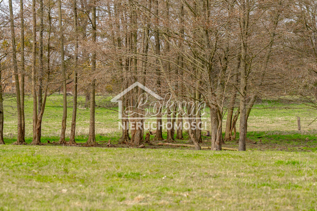 Działka budowlana 1288&nbsp;m², Tanowo, Dębowa - zdjęcie 14