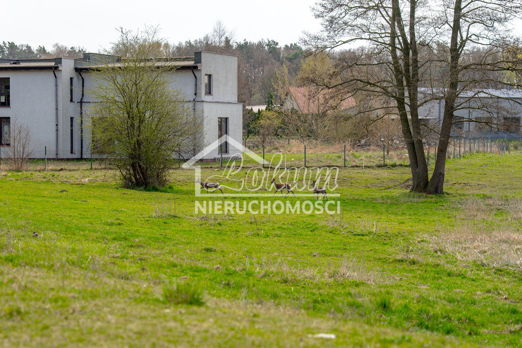 Działka budowlana 1288&nbsp;m², Tanowo, Dębowa - zdjęcie 17