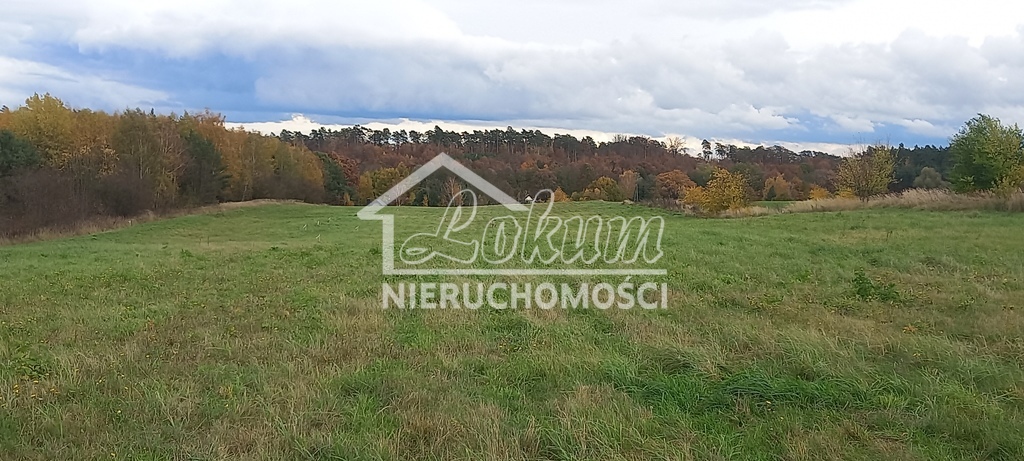 Działka budowlana 1159 m², Steklno - zdjęcie 2