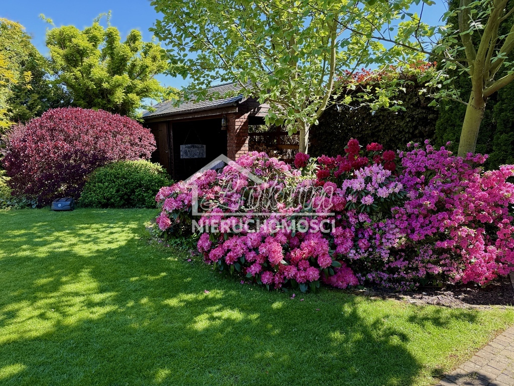 Dom 335,62&nbsp;m², Mierzyn, Teresy - zdjęcie 16