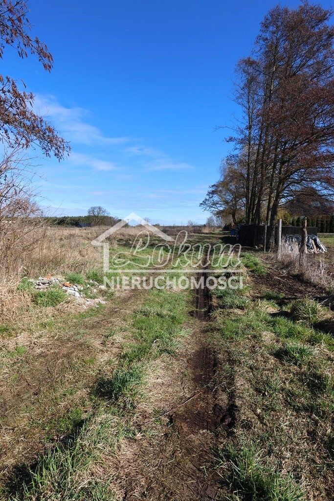 Działka budowlana 3717 m², Lubczyna - zdjęcie 6