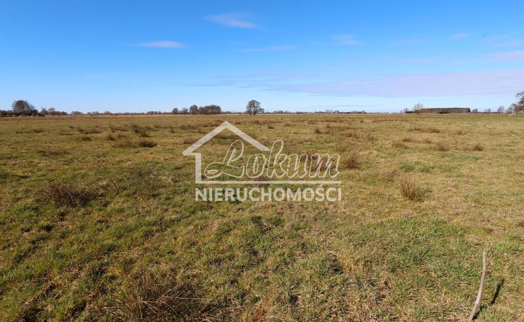Działka budowlana 3717&nbsp;m², Lubczyna - zdjęcie 5