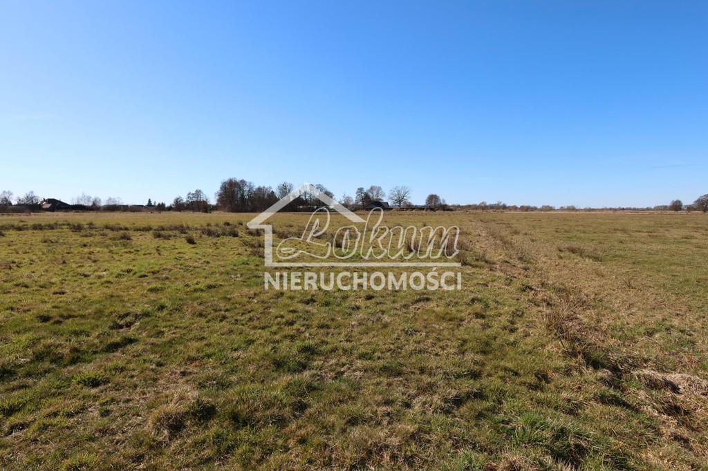Działka budowlana 3717&nbsp;m², Lubczyna - zdjęcie 2