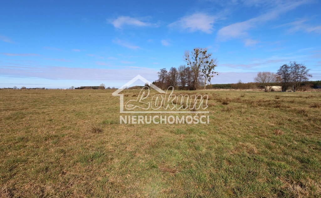 Działka budowlana 3717 m², Lubczyna - zdjęcie 4