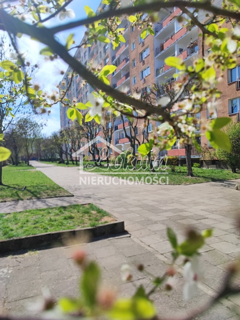 Mieszkanie 31&nbsp;m², Stargard, os. Zachód - zdjęcie 13