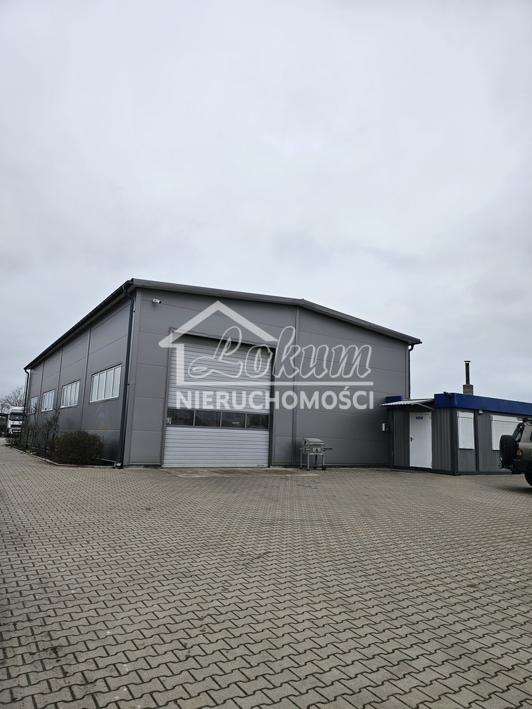 Lokal usługowy do wynajęcia, 288&nbsp;m², Przecław - zdjęcie 1