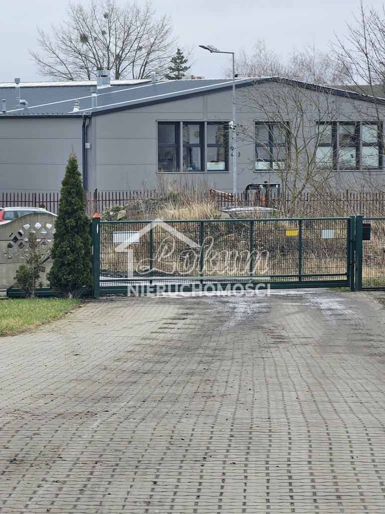 Lokal usługowy do wynajęcia, 288&nbsp;m², Przecław - zdjęcie 7