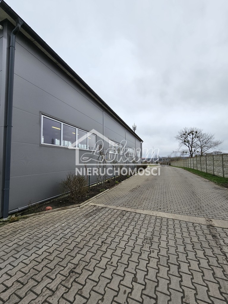 Lokal usługowy do wynajęcia, 288&nbsp;m², Przecław - zdjęcie 3