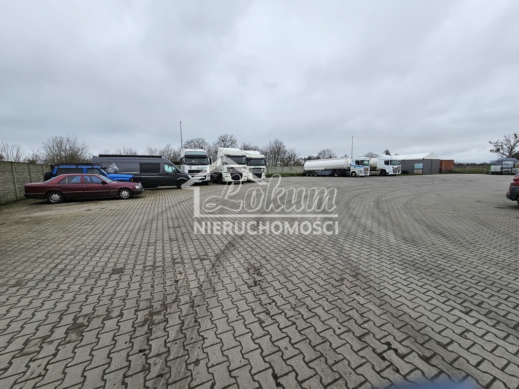 Lokal usługowy do wynajęcia, 288&nbsp;m², Przecław - zdjęcie 5