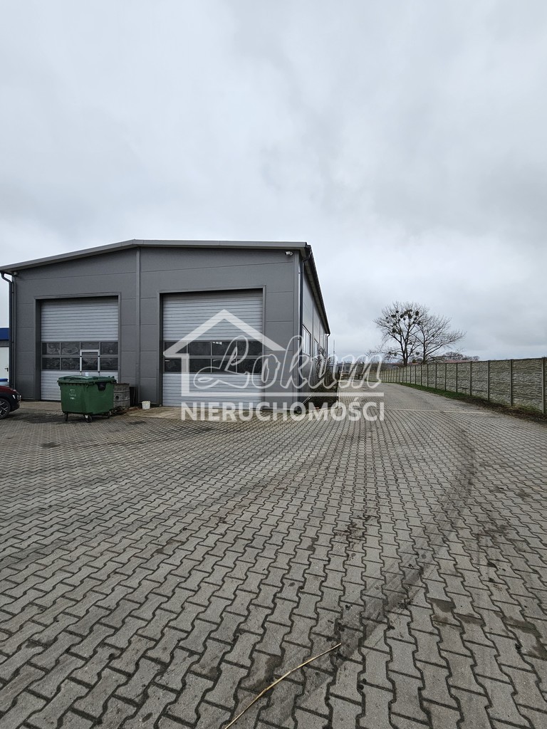 Lokal usługowy do wynajęcia, 288&nbsp;m², Przecław - zdjęcie 2