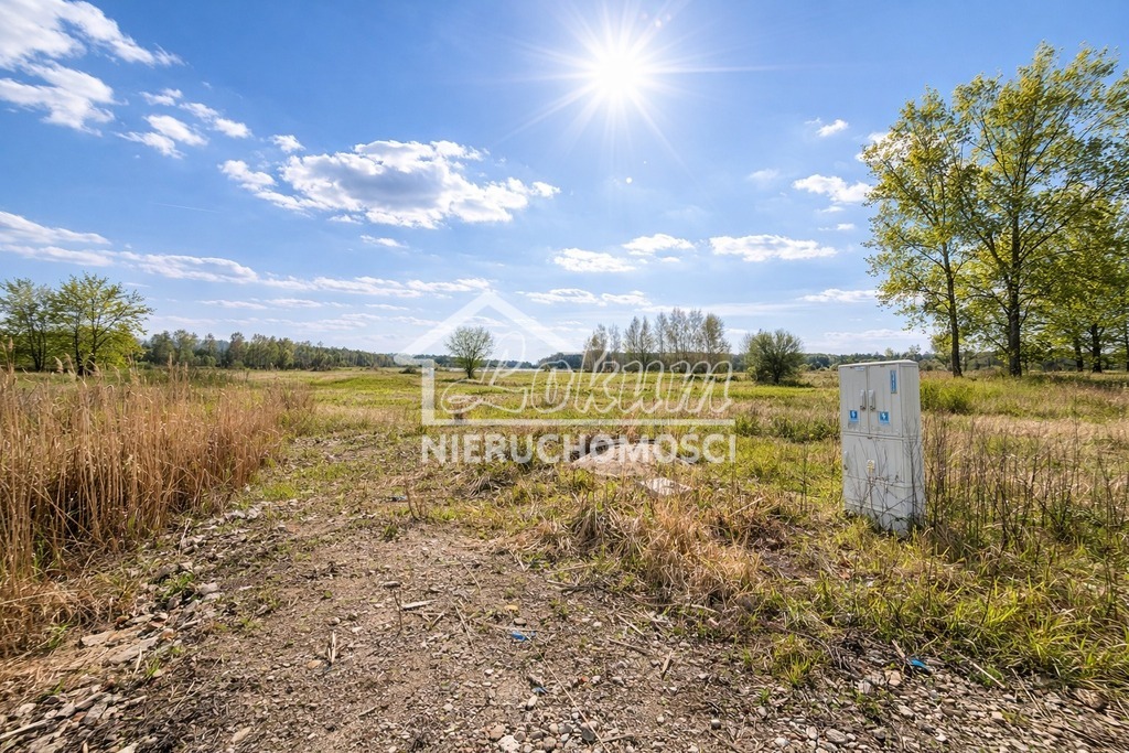 Działka budowlana 3309&nbsp;m², Osetna - zdjęcie 4