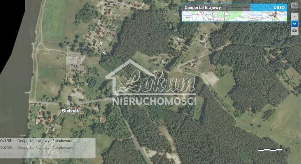 Działka budowlana 2600&nbsp;m², Bielinek - zdjęcie 3