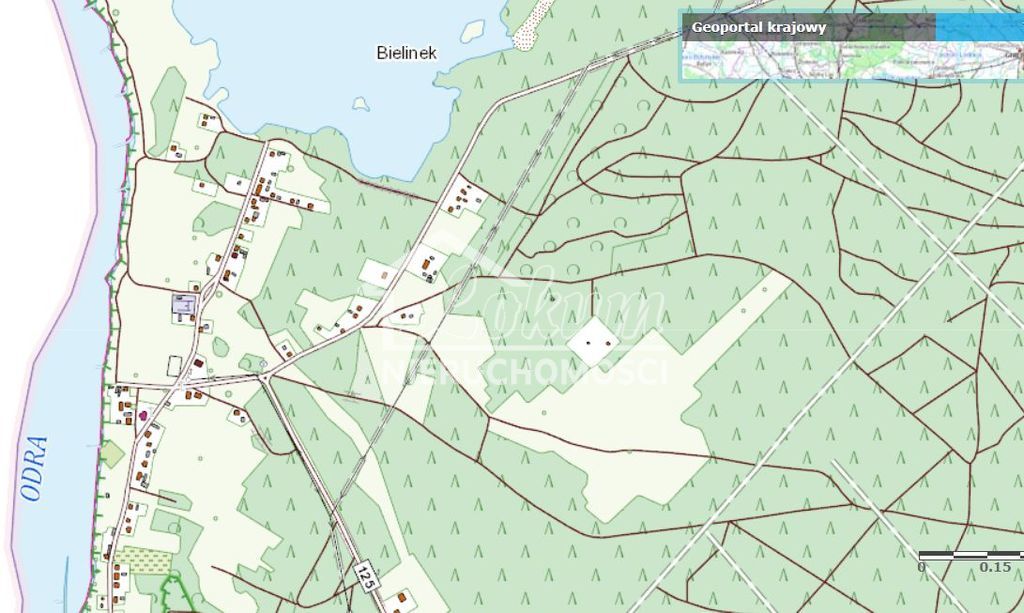 Działka budowlana 2600&nbsp;m², Bielinek - zdjęcie 2