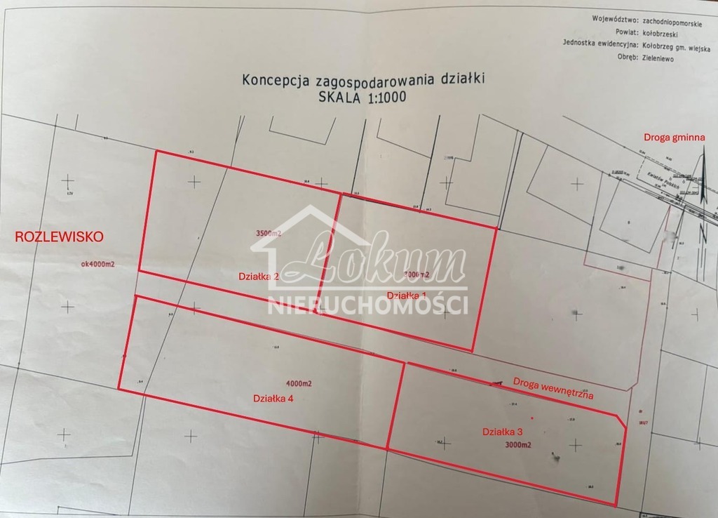 Działka gospodarstwo 3000&nbsp;m², Zieleniewo - zdjęcie 8