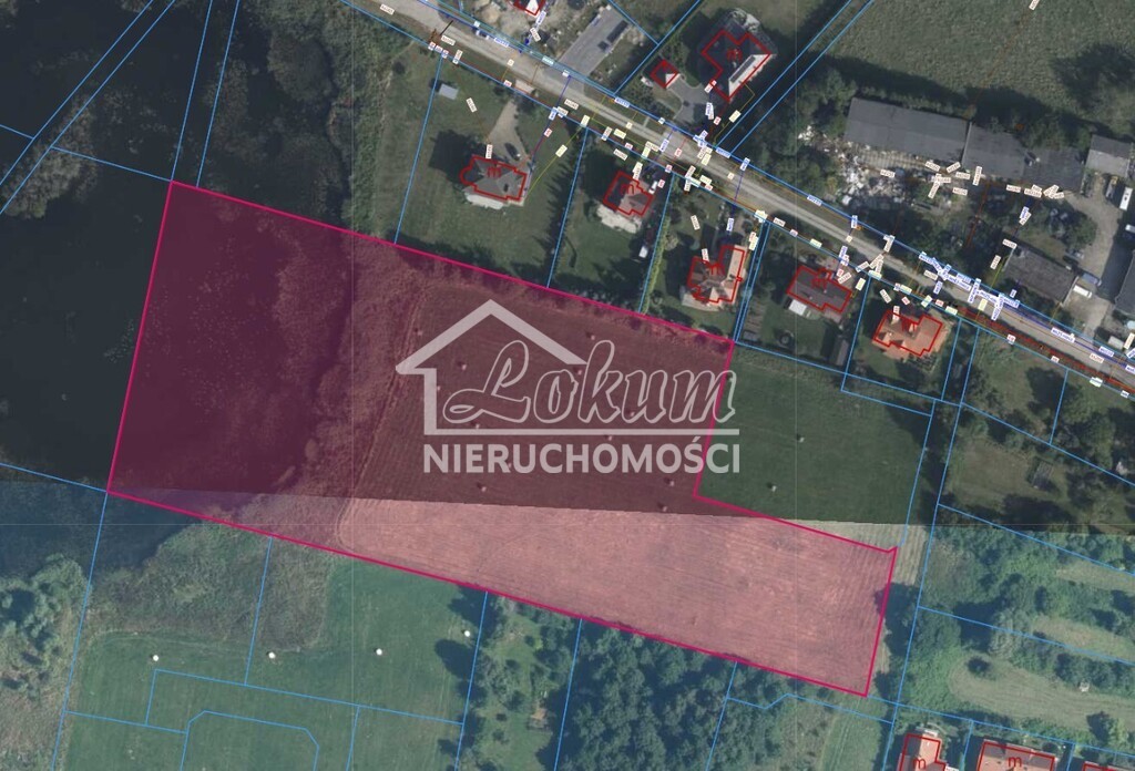 Działka gospodarstwo 3000&nbsp;m², Zieleniewo - zdjęcie 9