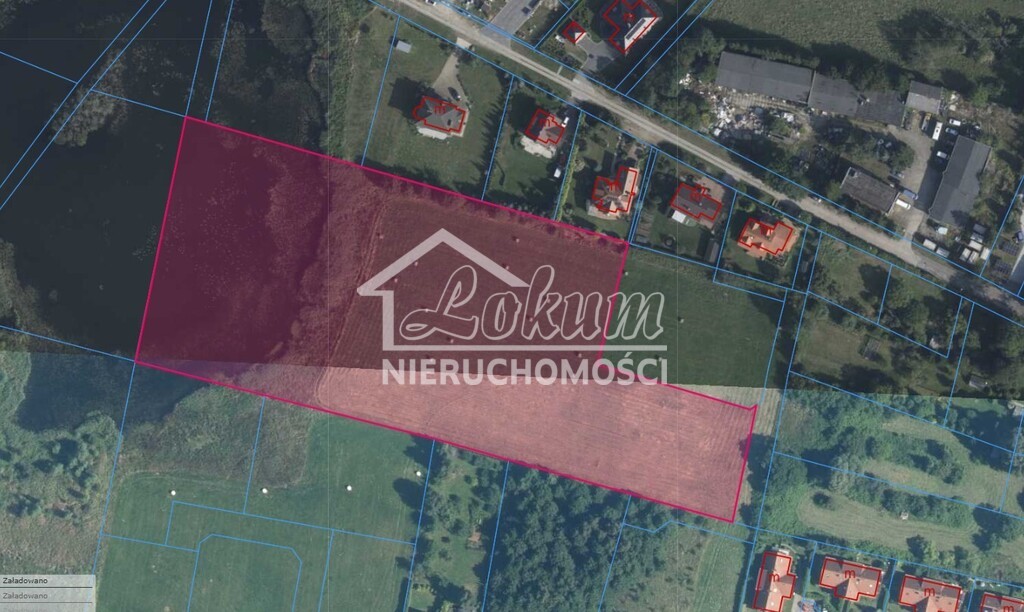 Działka gospodarstwo 3000&nbsp;m², Zieleniewo - zdjęcie 3