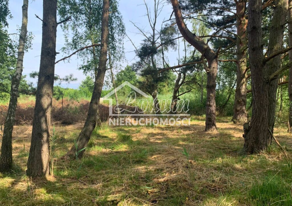 Działka budowlana 1817&nbsp;m², Międzywodzie - zdjęcie 5