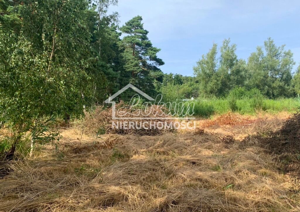 Działka budowlana 1817&nbsp;m², Międzywodzie - zdjęcie 12