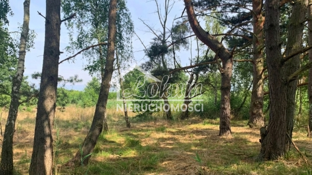 Działka budowlana 1817 m², Międzywodzie - zdjęcie 4