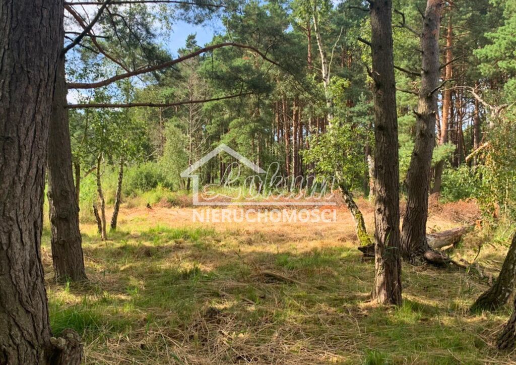 Działka budowlana 1817&nbsp;m², Międzywodzie - zdjęcie 11