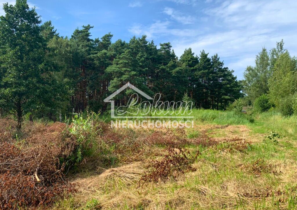 Działka budowlana 1817&nbsp;m², Międzywodzie - zdjęcie 8