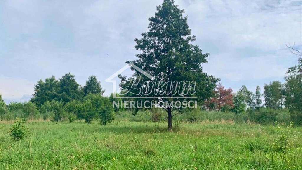 Działka budowlana 1817 m², Międzywodzie - zdjęcie 5