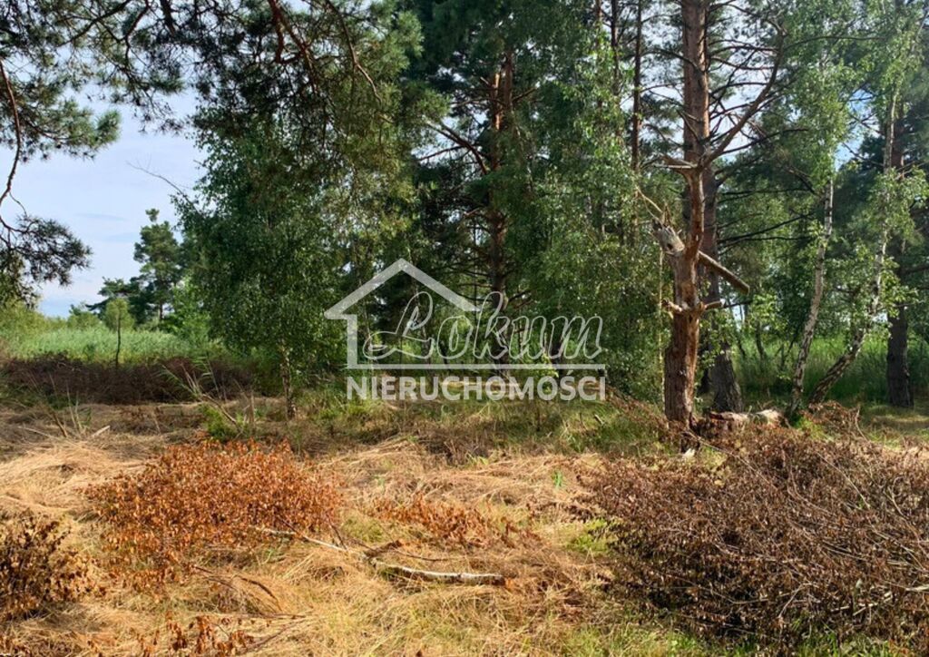 Działka budowlana 1817&nbsp;m², Międzywodzie - zdjęcie 9