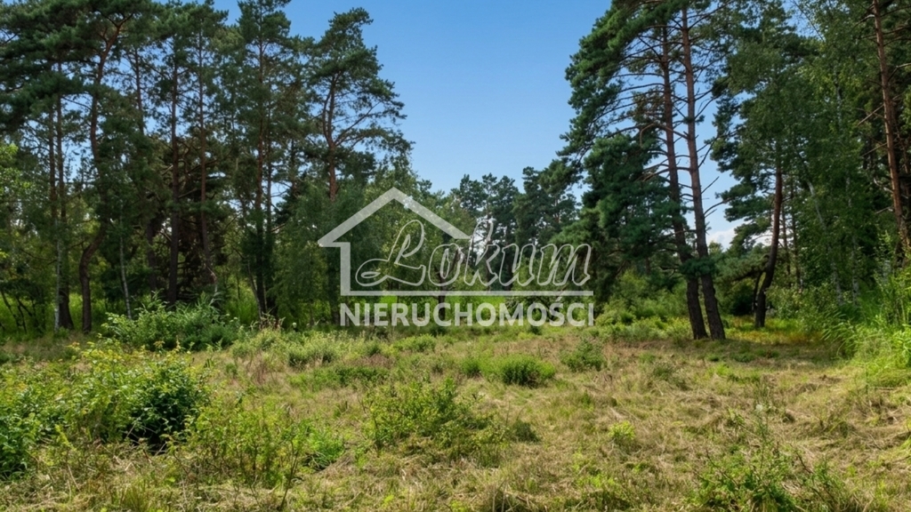 Działka budowlana 1817 m², Międzywodzie - zdjęcie 3