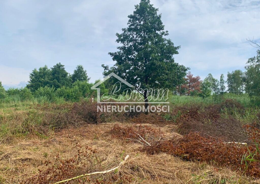 Działka budowlana 1817&nbsp;m², Międzywodzie - zdjęcie 7