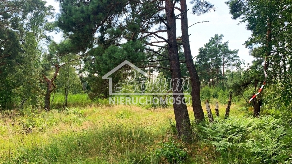 Działka budowlana 1817 m², Międzywodzie - zdjęcie 9