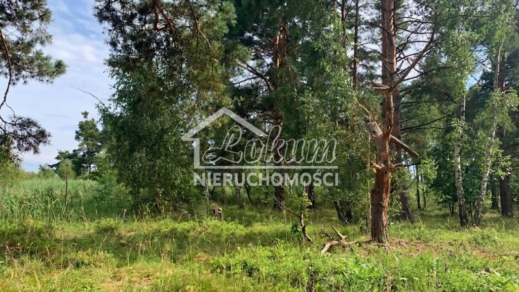 Działka budowlana 1817 m², Międzywodzie - zdjęcie 7