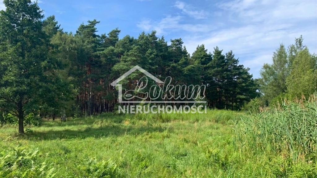 Działka budowlana 1817 m², Międzywodzie - zdjęcie 6