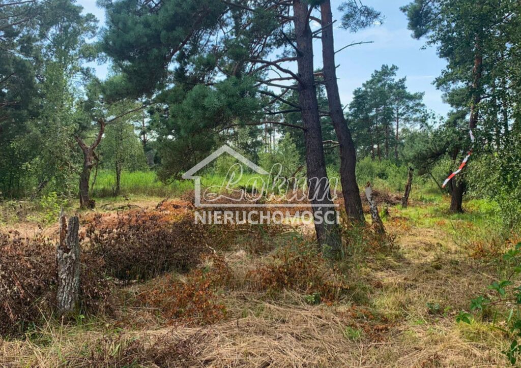 Działka budowlana 1817&nbsp;m², Międzywodzie - zdjęcie 6