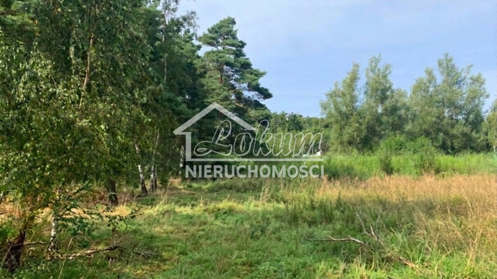 Działka budowlana 1817 m², Międzywodzie - zdjęcie 8