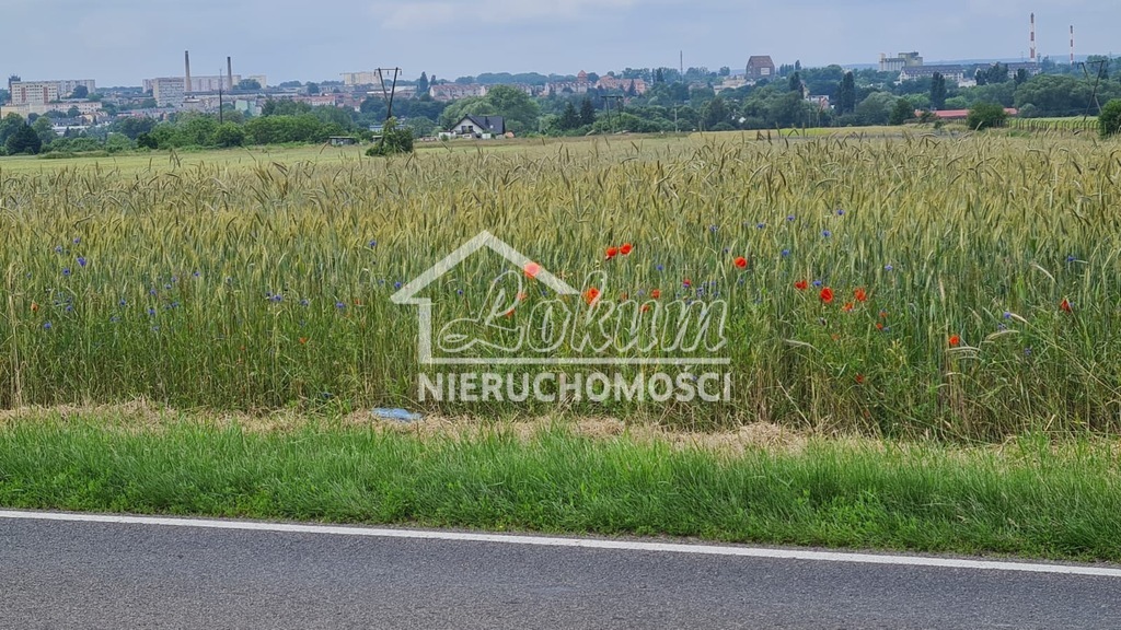 Działka budowlana 867&nbsp;m², Stargard - zdjęcie 4