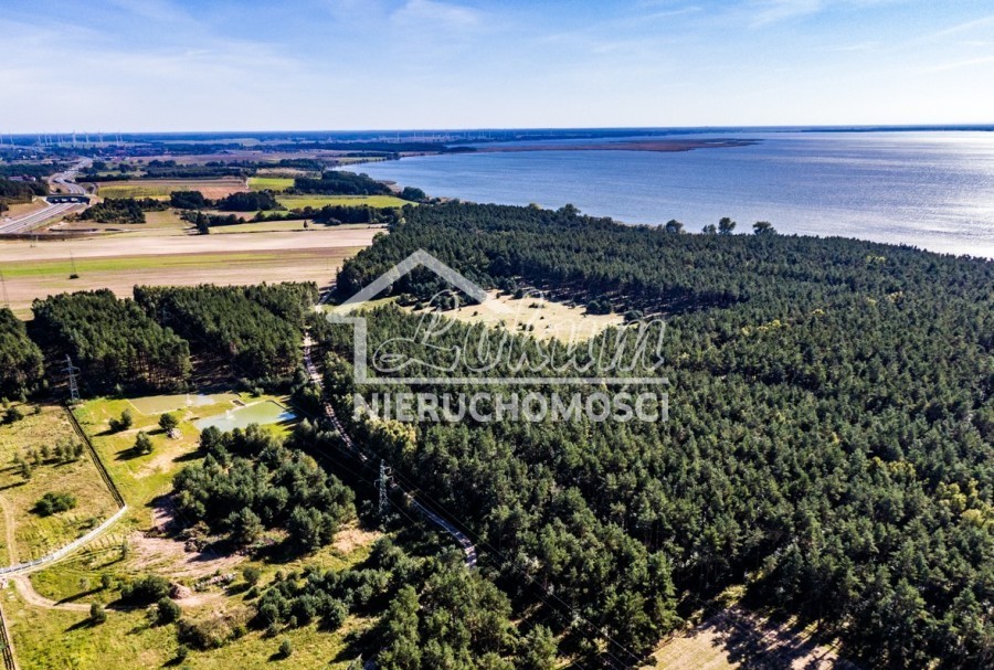 Działka rolna 3000 m², Dargobądz - zdjęcie 4