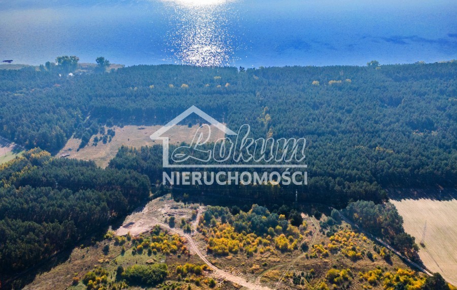 Działka rolna 3000 m², Dargobądz - zdjęcie 1