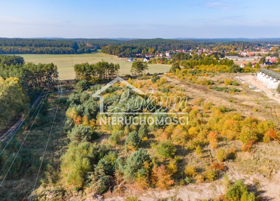 Działka rolna 3000 m², Dargobądz - zdjęcie 3