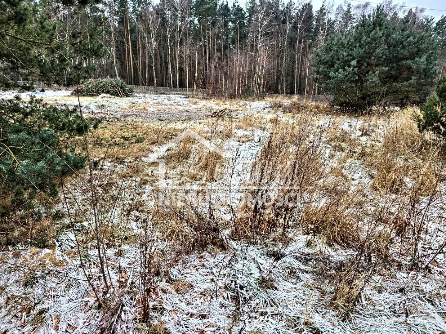 Działka rolna 3000 m², Dargobądz - zdjęcie 2