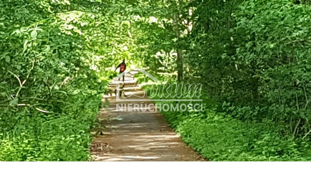 Działka budowlana 1022&nbsp;m², Swobnica - zdjęcie 3