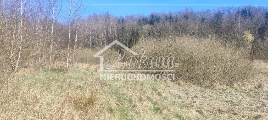 Działka rekreacyjna 1870&nbsp;m², Linówko - zdjęcie 6