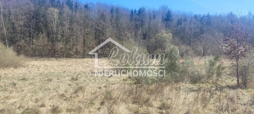 Działka rekreacyjna 1870&nbsp;m², Linówko - zdjęcie 8