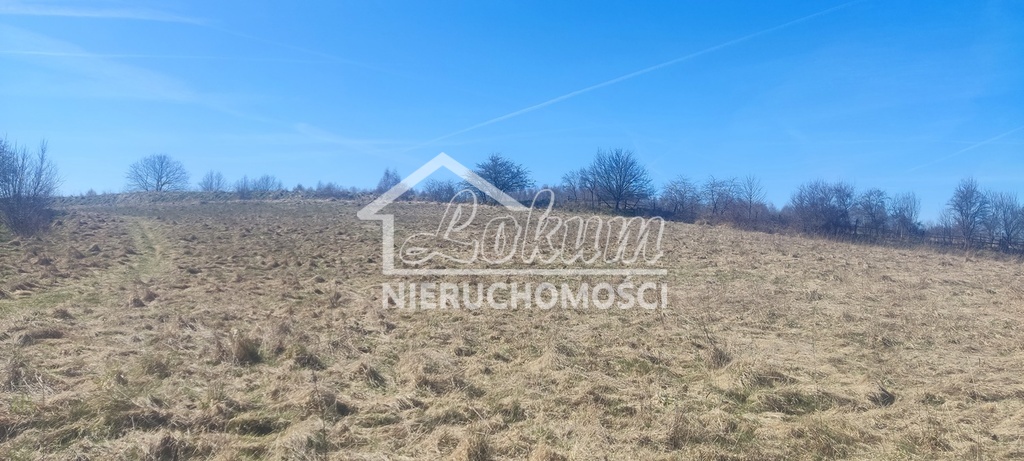 Działka rekreacyjna 1870&nbsp;m², Linówko - zdjęcie 10