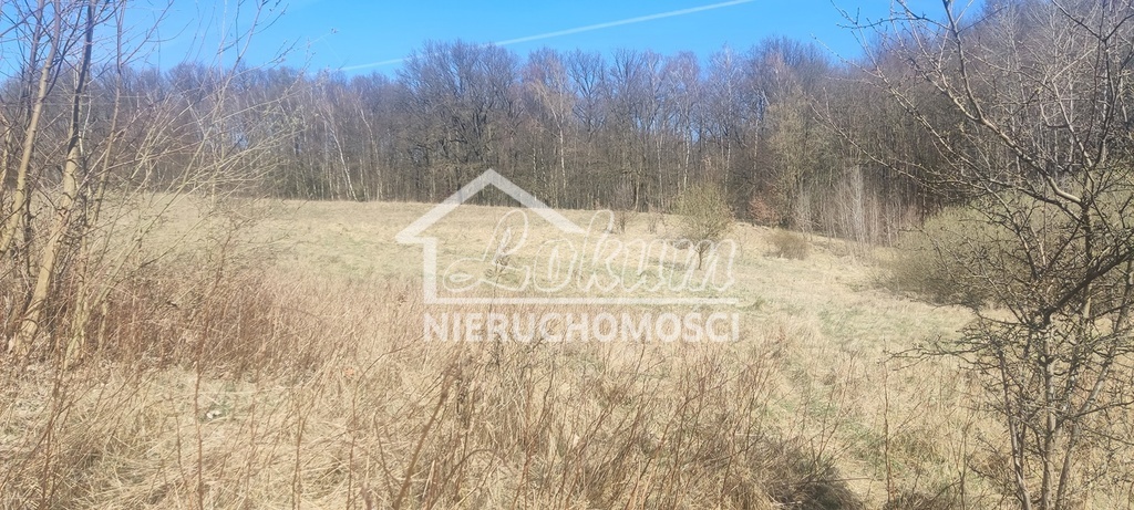 Działka rekreacyjna 1870&nbsp;m², Linówko - zdjęcie 7